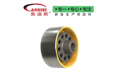 AODISI TLL型帶制動(dòng)輪彈性套柱銷(xiāo)聯(lián)軸器