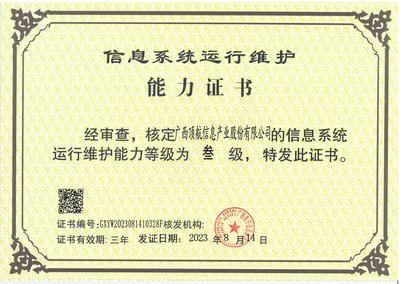 榮譽證書 信息系統運行維護服務的卓越貢獻與專業認可
